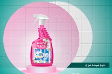 اسپری شیشه پاک کن هوم لند